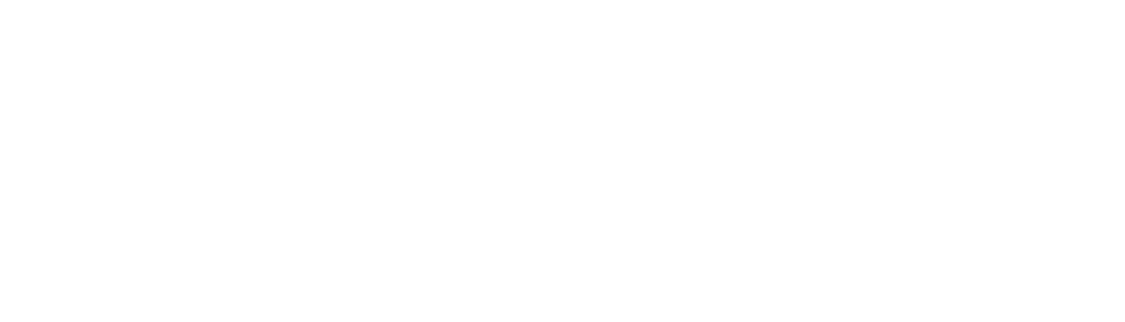SOLIDWORKS LOGO WHITE